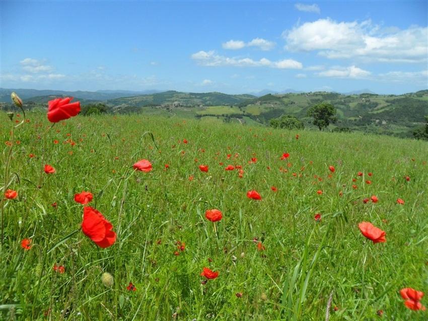 La Cinci Allegra Valfabbrica Kültér fotó